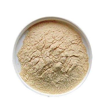 Malta polvo para Malteadas Maltalac Bolsa 1 Kg