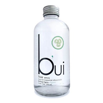 Agua de Manantial BUI infusionada Pepino 24/290ml