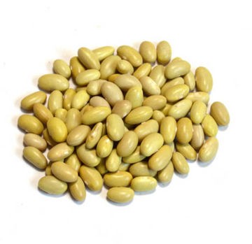 Frijol peruano Labrador Bolsa de 1 Kg